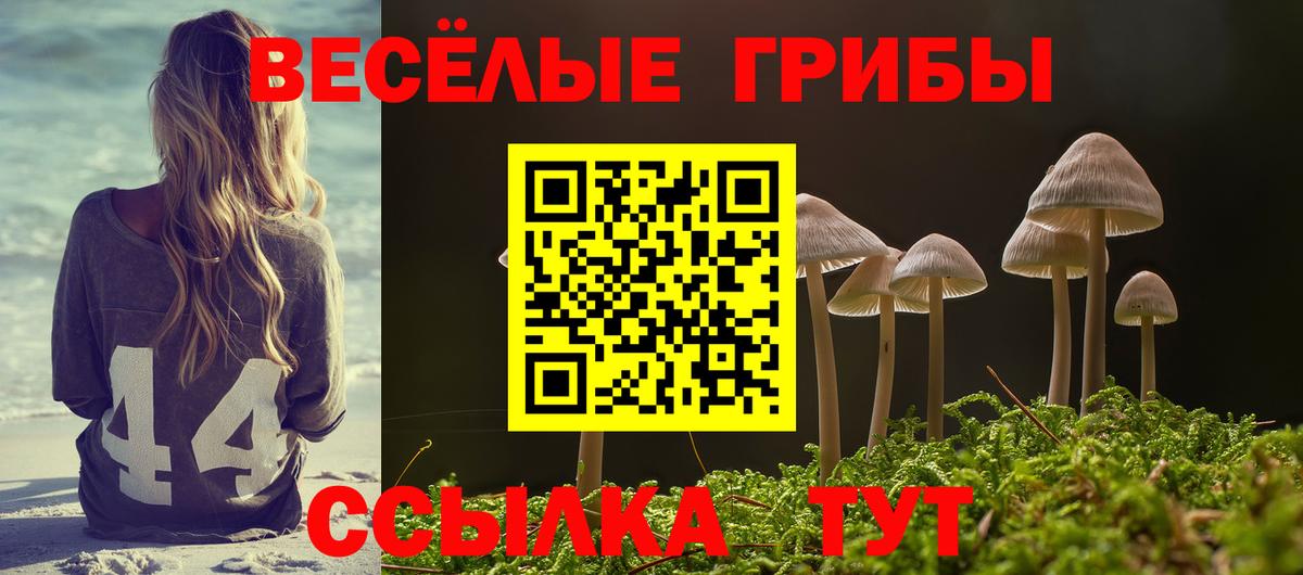Псилоцибиновые грибы мухоморы  Псилоцибиновые грибы прущие грибы  Серов  Вход с VPN 